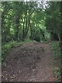 Permissive bridleway descends into the valley in EX4 9JN
