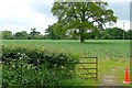 Farmland at Gravelly Bridge in RG7 1LE