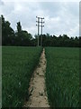 Wooden Pylon in IP8 3EZ