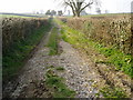 Farm track from Tatworth in TA20 2PD