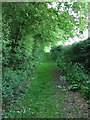 Green Footpath in CO7 6QQ