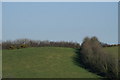 Field on a Hillside in TA4 4DZ