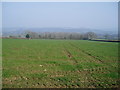 Arable land near Two Ash Hill in TA20 2PD