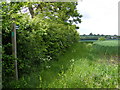Footpath to Holmes Hill & Mill Road in IP17 2JW