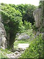 Path into Tout Quarry in DT5 1YR