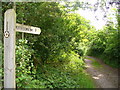 North Downs Way in GU10 1LF