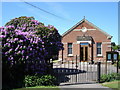 Kirton Methodist church, plus magnificent rhododendron in Kirton (East Suffolk)