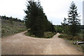 Track junction near Glenmullie in AB37 9ER
