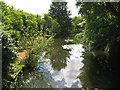 River Lee at Mill Green in AL9 5HQ