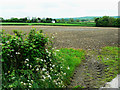 Farmland south of the A40, near Pwll-trap in SA33 4AX