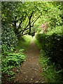 Footpath from Harts Lane to Oxdrove (Track) in RG20 9JS