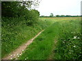 Footpath to Finchdean in PO8 0AW
