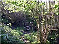 Footpath stile. in Cynwyl Elfed Community