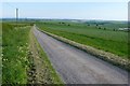 Track near Nettlecombe farm in DT2 7RG