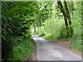 Lane through West Woods in SN8 4DY