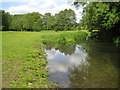 River Mimram near Archer's Green in SG14 2NG