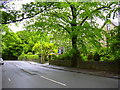 Queen's Park Road, Burnley in BB10 2TQ