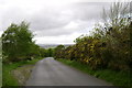 The road to Luton from Little Haldon in TQ14 9NY