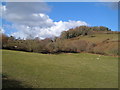 Valley below Hatherleigh, nr Lustleigh in TQ13 9SP