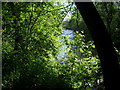 A view of the river looking East , Newtown, Powys in Newtown and Llanllwchaiarn Community