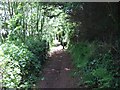 Footpath below Hambeer Lane in EX2 9RY