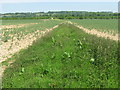 Track in field in TN15 0ES