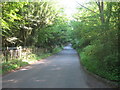 Puttenden Road between Woods in TN11 9NR