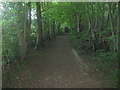 Bridleway near Dene Park in TN11 9NR