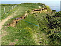 Slipping clifftop, Bran Point in DT3 6HJ