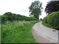 View west along Well Hall Lane in PE32 1QD