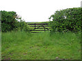 Field gate by Well Hall Farm in PE32 1QD
