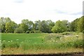 Lumpit Wood in CO10 9AF