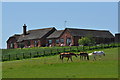 Horses grazing on the land of a property in B77 4QH