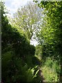 Footpath, Blackawton in Blackawton & Stoke Fleming Ward