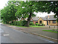 Bungalows on Winch Road in PE32 1QR