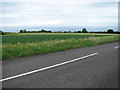 Fields adjoining Lynn Road (B1145) in Gayton & Grimston Ward