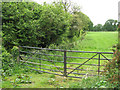 Gate into a pasture beside Lynn Road in Gayton & Grimston Ward