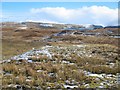 Moorland above Bracadale Point in IV56 8FG