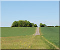 Farm track near Bunkers Hill in CV23 8AD