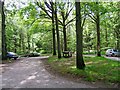 Car park & picnic area, Hawkbatch, Wyre Forest in DY12 3AD