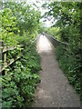 Lone LDWA competitor crossing the A3 footbridge during the Wessex 100 in GU32 2EB