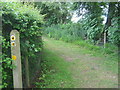 Footpath junction on Stour Valley Walk in TN26 1EY