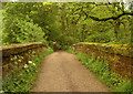 Bridge over the Churnet in ST10 3AJ