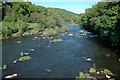 River Usk below Llangynidr Bridge in NP8 1NQ