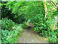 Cock Lane, near Cuckoo's Knob in SN8 4NJ
