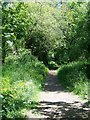 Footpath near Avington in Itchen Valley