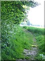 Footpath near Avington in SO21 1DE
