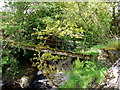 Ruined footbridge over Abhainn a' Garbh-Achadh in PA60 7XZ