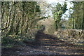 Track on Backwell Hill in BS48 3JF