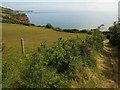 Coast path between Mackerel Cove and Herring Cove in TQ12 4QN